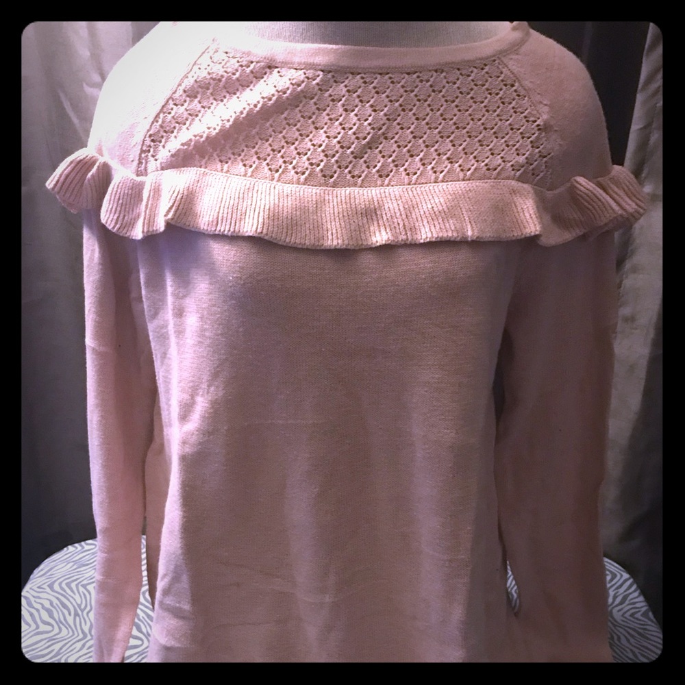 Style and Co blush top